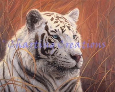 Small White Tiger Portrait